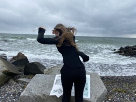 Lou, Hoyer, Künstlerin